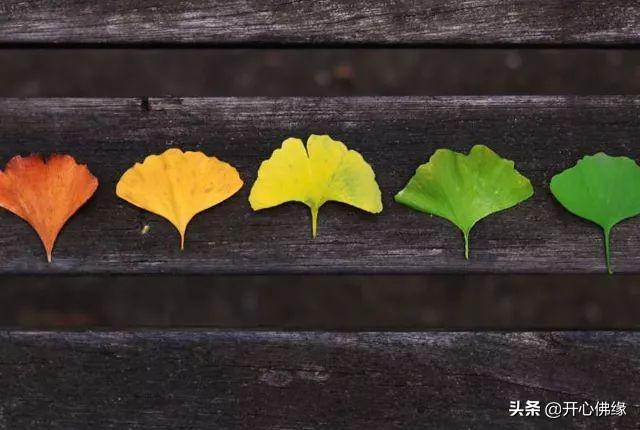 一路走来，我不优秀，但我善良不虚伪