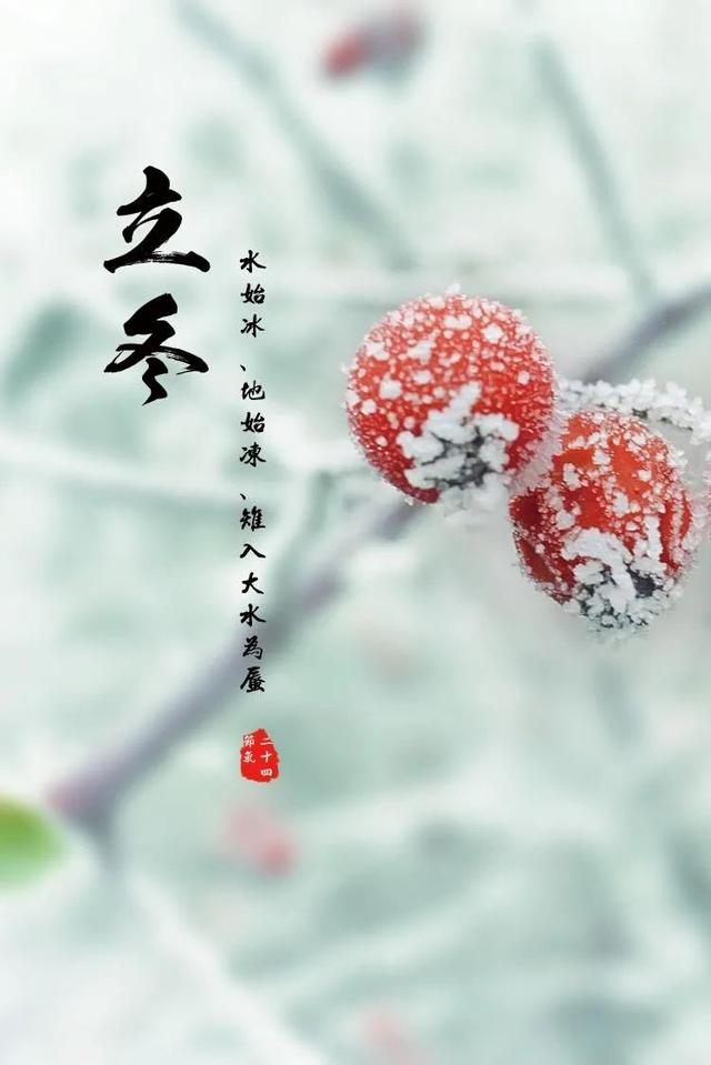 立冬还是冬至吃饺子「立冬还是冬至吃饺子不冻耳朵」
