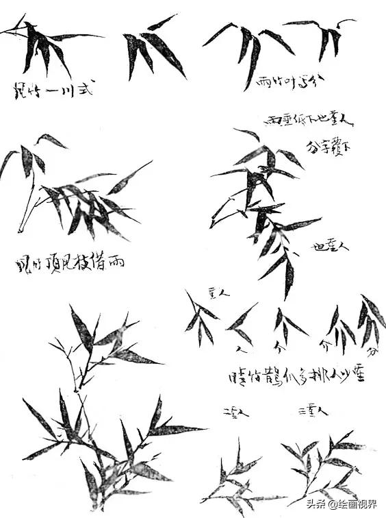 怎么画竹子 怎么画竹子