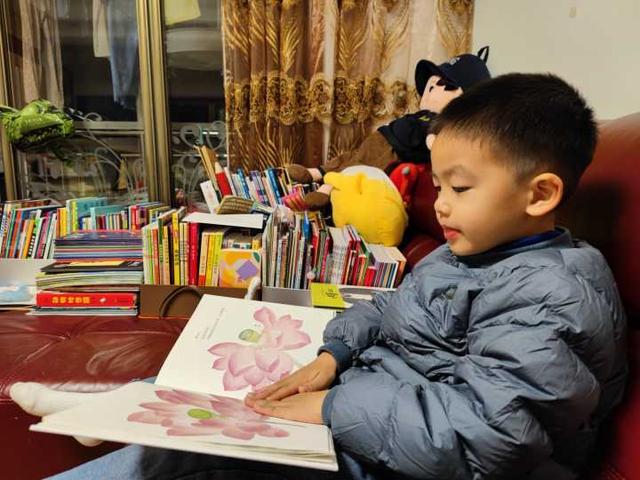 如何给孩子挑选接地气又唯美的植物绘本？教你实用三招