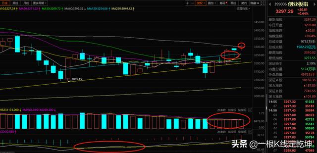 市场迎来猪肉行情，接下来怎么办