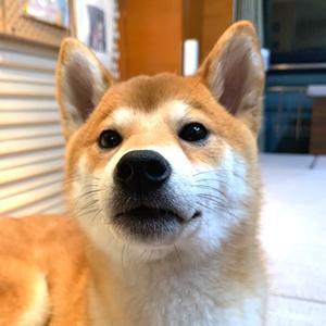 安安安安好好的