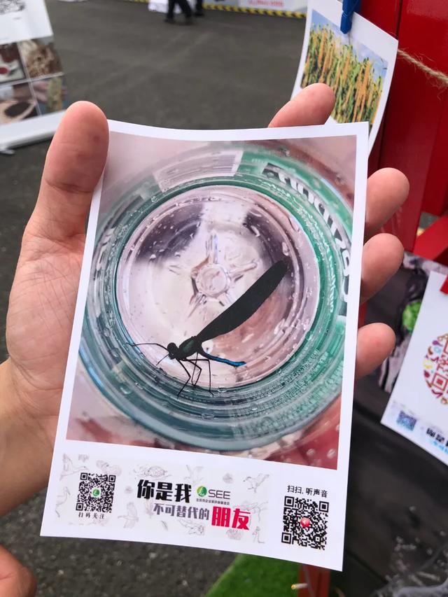 炒股用電腦還是平板好 炒股用電腦還是平板好