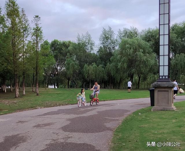 代号：大师探索 行动：最高质价比