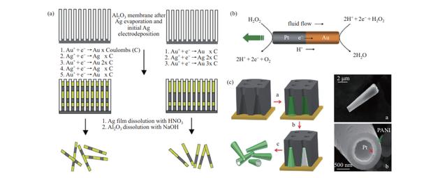 面向靶向医疗的微纳米机器人