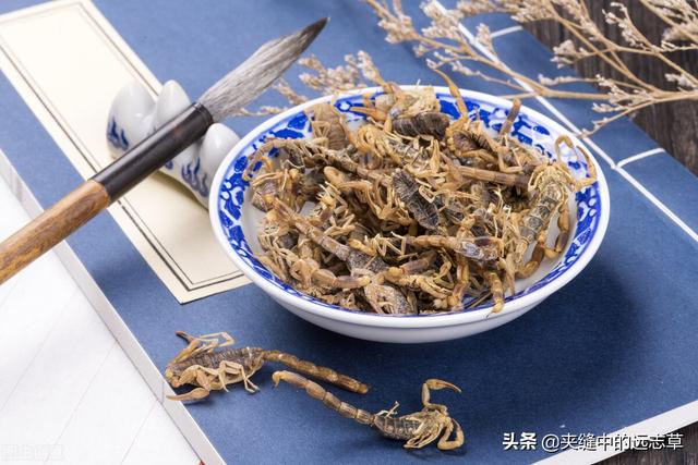 肩周炎，活动受限？送你四味中药，祛顽痰，通经络，快来了解下吧