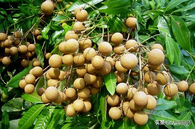 秋季要少吃“2肉3果”，对身体不利，顺应时节好度秋