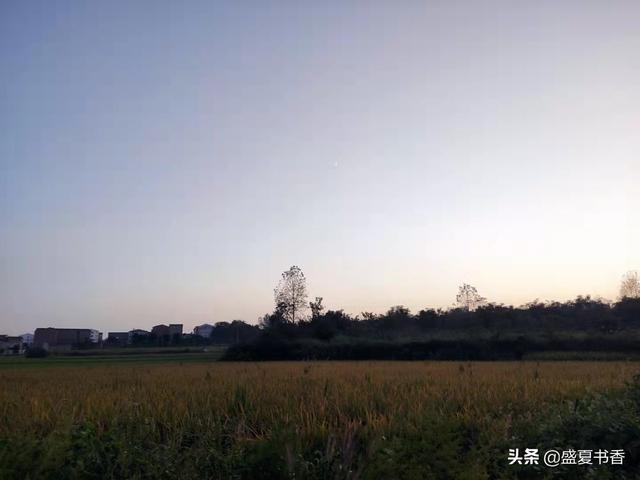 5类自然科学，带孩子走进田野，给孩子更好的自然教育