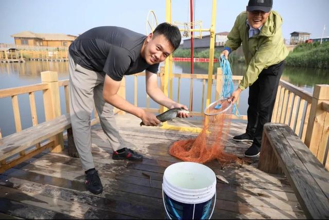 红海滩秋季怎么玩（盘锦红海滩秋季打卡清单）