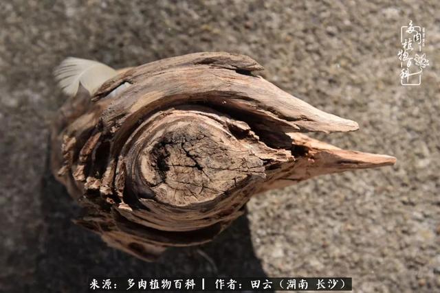 影片剧照