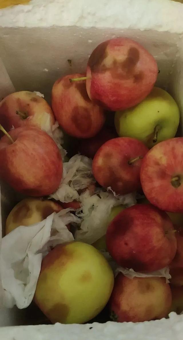 影片剧照