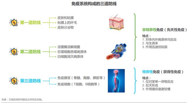 “妈妈，为什么我们会生病？”23张图给孩子解释：我们的身体