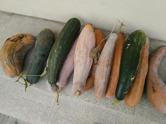 提醒：这3种食物的升糖能力强，糖尿病患者过量吃，容易加重病情