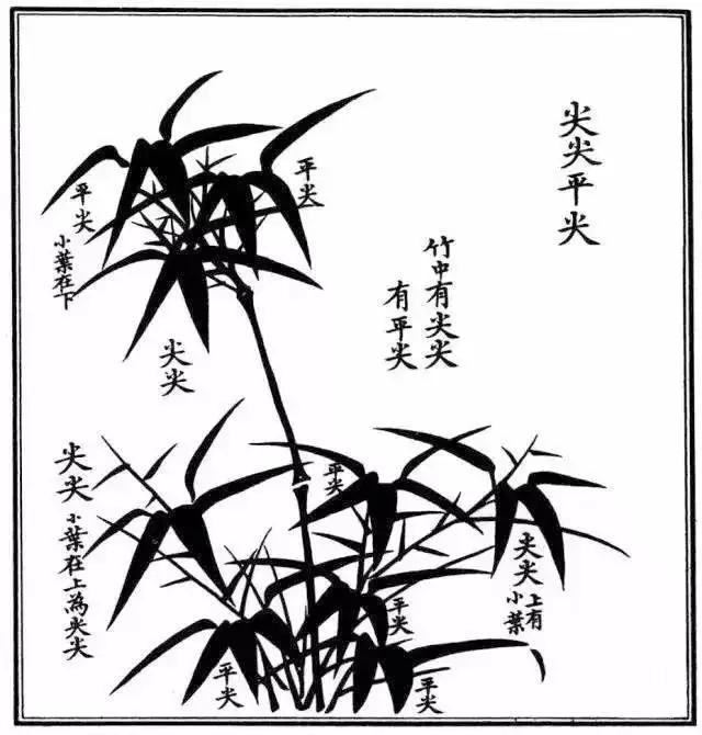 竹子怎么画 竹子怎么画