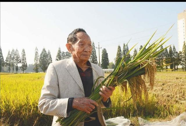 袁隆平是哪里人