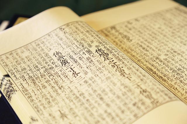 中醫四大醫典之首