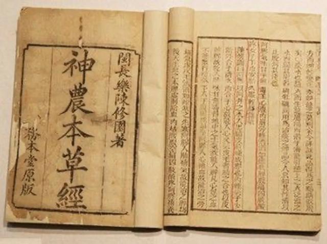 刘寄奴功效与作用 刘寄奴功效与作用（北刘寄奴功效与作用） 生活