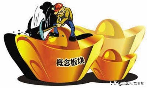 股票600446(股票600436) 第1张