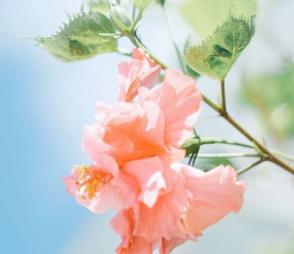 https://blog.sina.com.cn/s/blog_9766a3620102yz1x.html