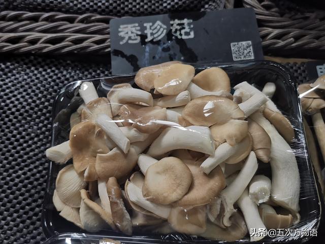 蘑菇的种类