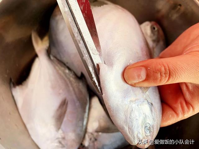 鲳鱼要不要刮鱼鳞