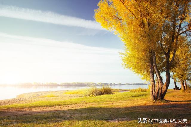 脉象弦细，脾气暴躁，肝气郁结，宗筋失养型ED，中医该如何调理？