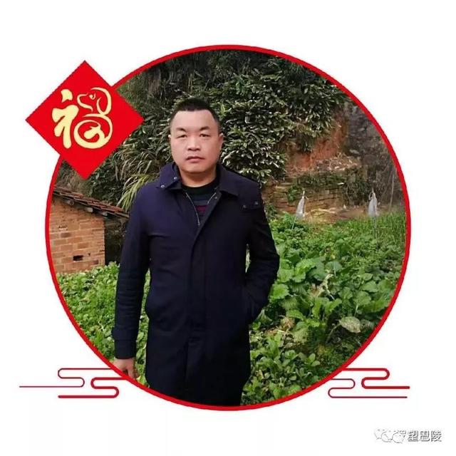 鸟声是云山悠然的种子//邹三龙