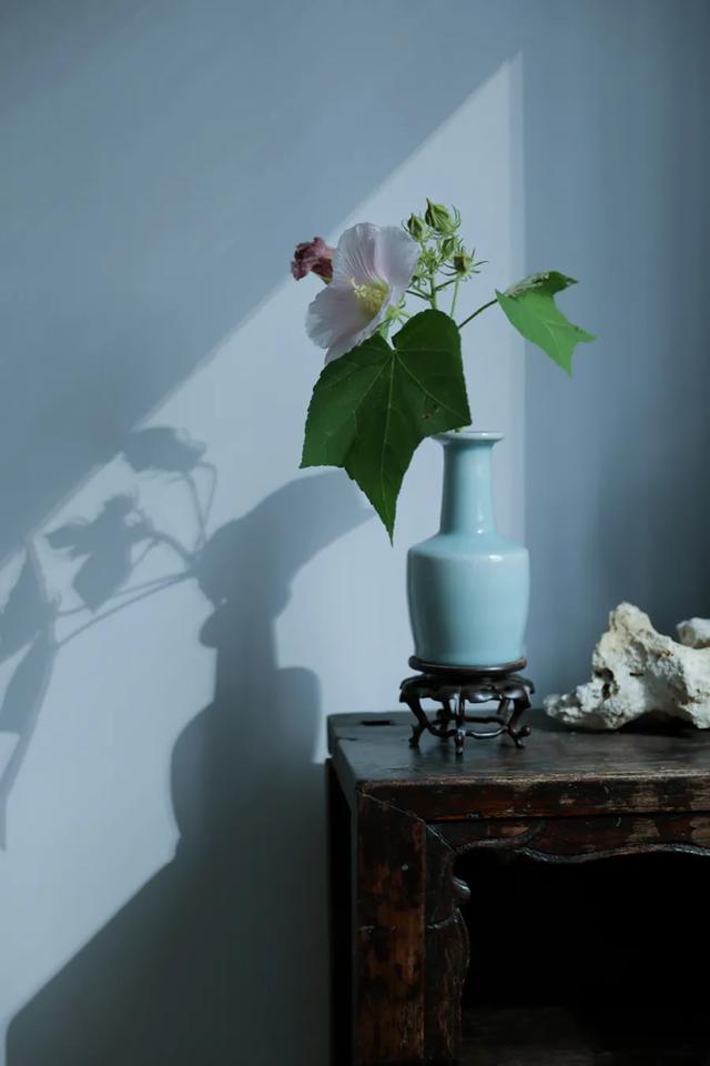 芙蓉花开 芙蓉花开（芙蓉花开花特点） 生活