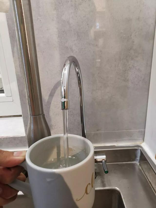 前置过滤机价格
