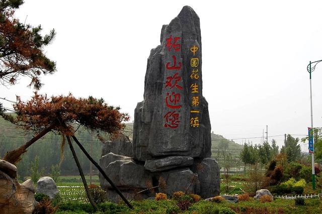 山东人为什么偏爱吃花生油？