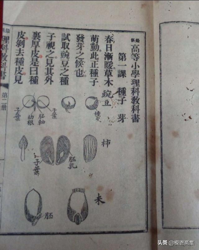 清末废除了科举 高小学堂设置15多个科目 开启了现代教育模式 全网搜