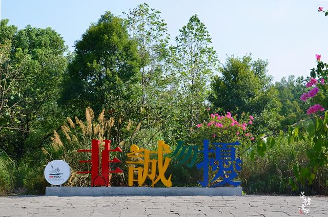 杭州有什么好玩的地方适合年轻人(杭州适合两个人玩的室内场所)