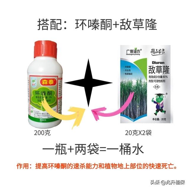 环嗪酮杀树灭灌使用的综合技术9