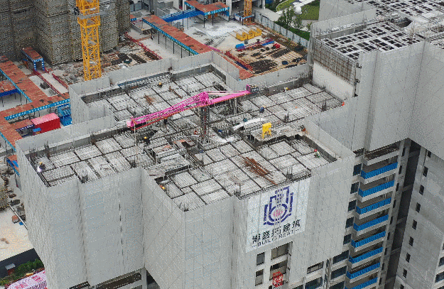 农民工骤减517万！碧桂园机器人建房现场都这样了！明年全面盈利