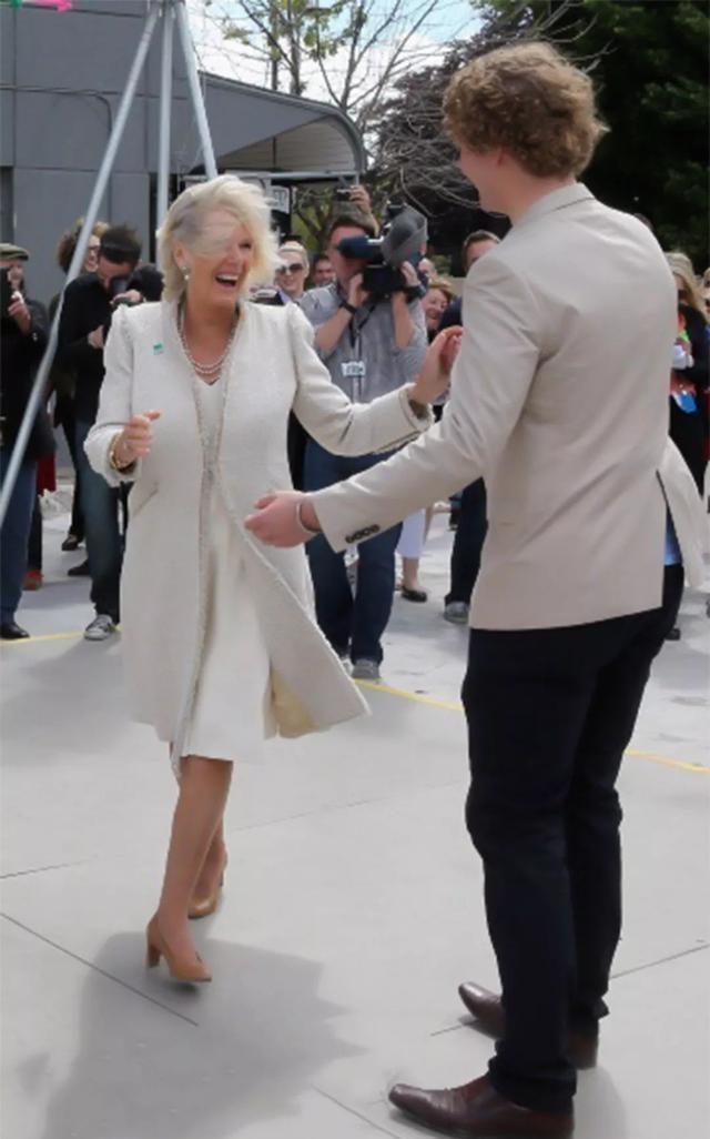 戴安娜卡米拉和查尔斯的故事（查尔斯双标）