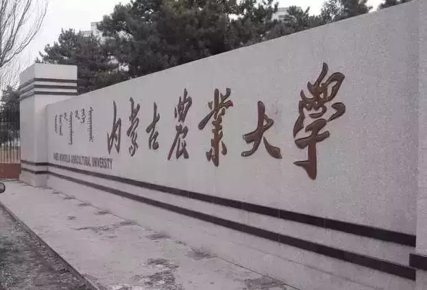威龙综合破碎机3000