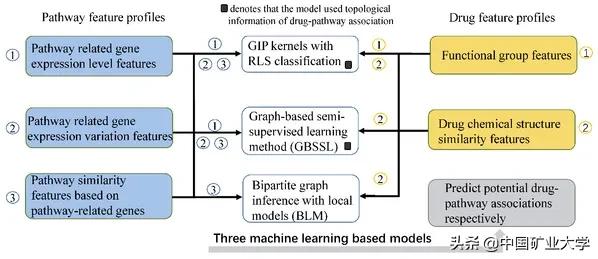 徐州工程机械展郝纯纯