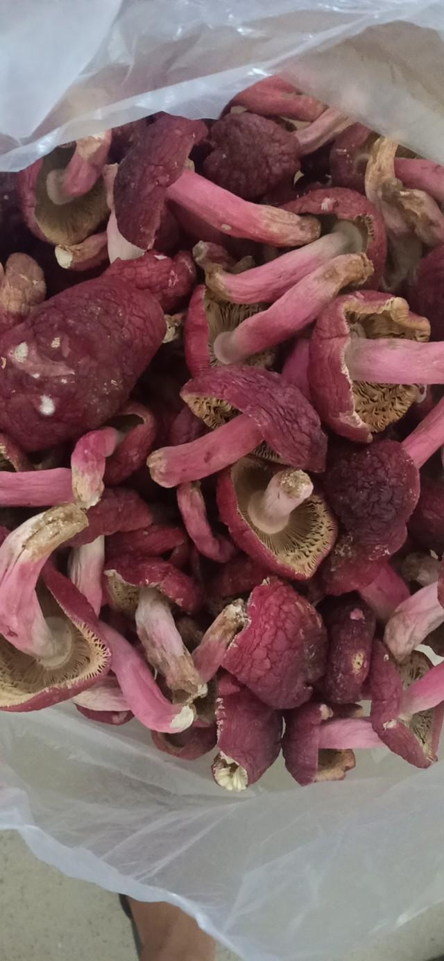 个头也大,这种烤干的必须要用几个袋子密封好 ,不然不出几天就会发霉