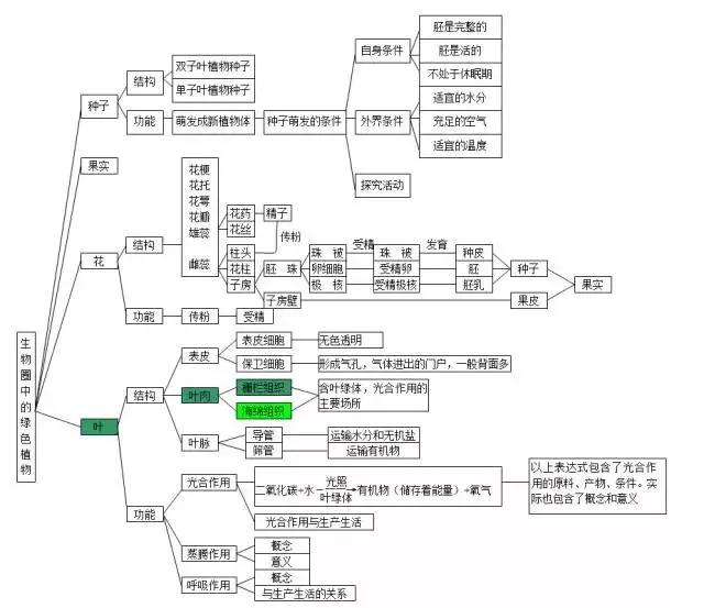 初中各科思维导图全汇总（语文、数学、地理、历史、化学、生物）