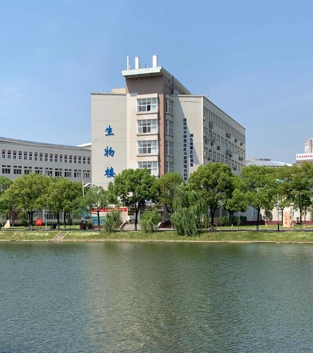 黄冈师范学院怎么样