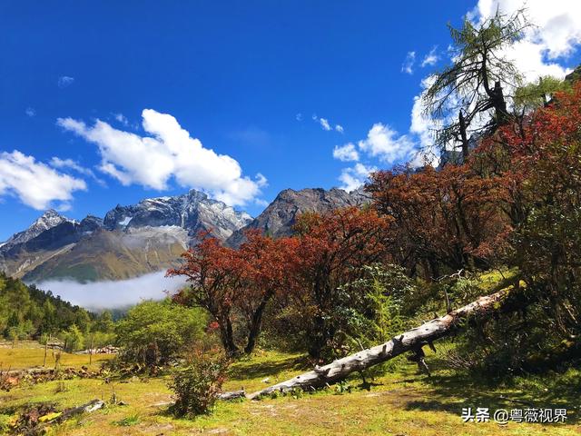 川藏北线317国道自驾攻略(西藏317国道自驾游攻略)-锐牛沃德讯息网