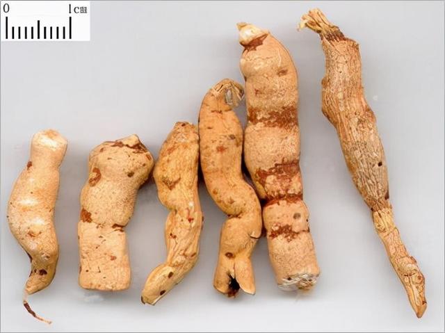 方剂笔记 第15方 十枣汤