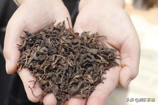 肠胃不好，适合喝什么茶？