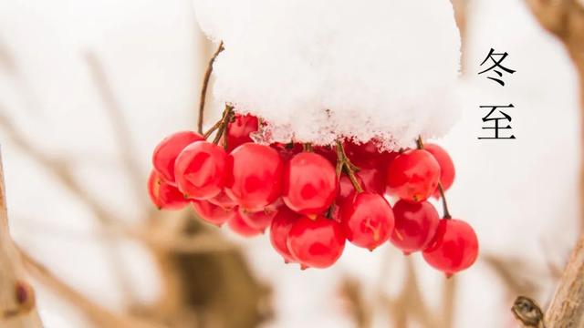 描写冬至的优美诗句古诗（十首经典的冬至诗词）