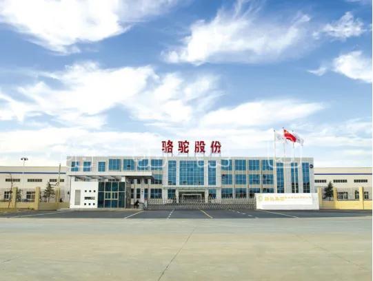 十年磨一剑，跨过百亿营收这个坎，骆驼股份有望迎来高速发展期