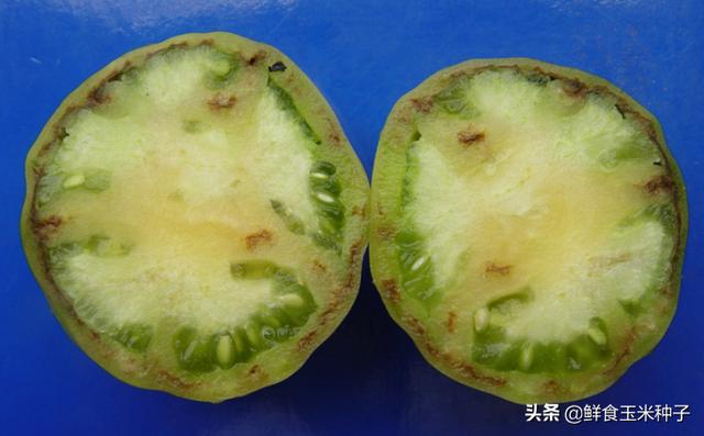 茄瓜果类蔬菜夏季高温期常见生理性障碍及防治措施31