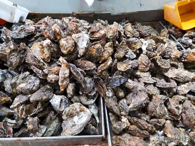 海蛎子怎么吃好吃（海蛎子的家常做法）