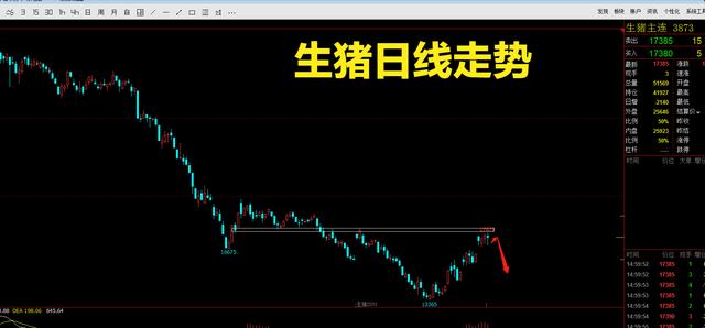 生猪上涨行情可能见顶了