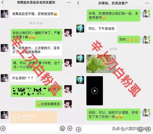 只需一招，一季无虫，粉虱长效药，一遍顶三遍