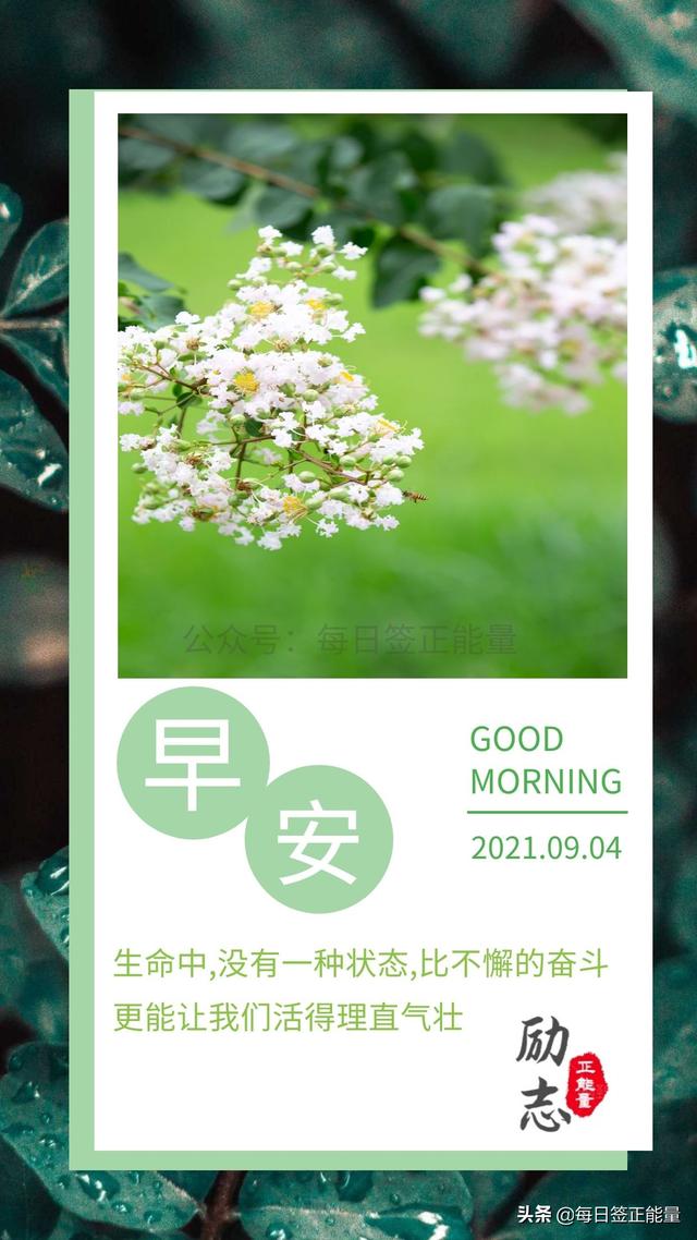 「早安心语」9月4日星期六，读正能量励志暖心心语，充满正能量